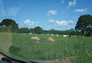 Foto do terreno